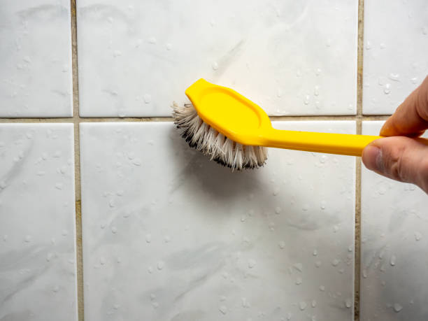 Best Toxic Mold Removal  in Bull Shoals, AR