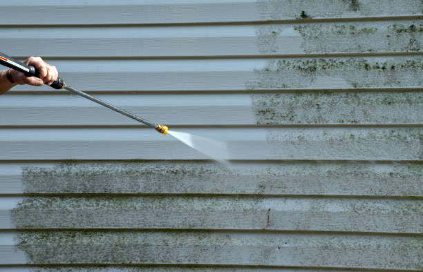 Mold Removal Process in Bull Shoals, AR